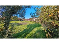Terreno Urbano - Paialvo, Tomar, Santar�m