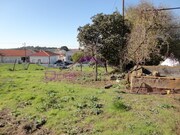Terreno Urbano - Riachos, Torres Novas, Santar�m - Miniatura: 3/9
