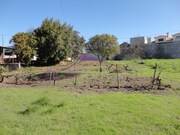Terreno Urbano - Riachos, Torres Novas, Santar�m - Miniatura: 5/9