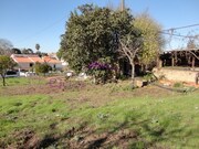 Terreno Urbano - Riachos, Torres Novas, Santar�m - Miniatura: 6/9