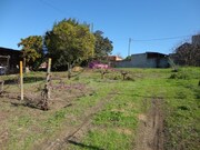 Terreno Urbano - Riachos, Torres Novas, Santar�m - Miniatura: 7/9
