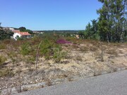 Terreno R�stico - Santa Margarida da Coutada, Const�ncia, Santar�m - Miniatura: 2/6