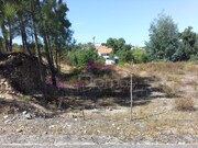 Terreno R�stico - Santa Margarida da Coutada, Const�ncia, Santar�m - Miniatura: 4/6