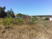 Terreno R�stico - Santa Margarida da Coutada, Const�ncia, Santar�m - Miniatura: 6/6