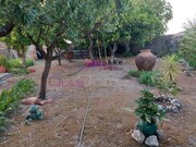 Moradia T6 - Paialvo, Tomar, Santar�m - Miniatura: 3/9