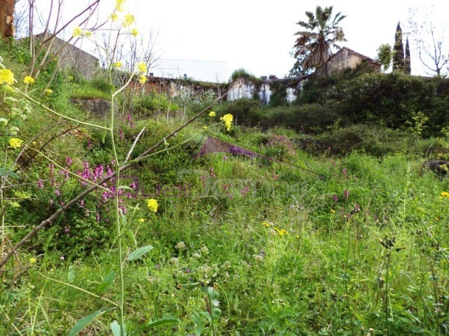 Terreno Urbano - Alcanena, Alcanena, Santar�m - Imagem grande