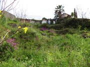 Terreno Urbano - Alcanena, Alcanena, Santar�m - Miniatura: 1/4