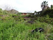 Terreno Urbano - Alcanena, Alcanena, Santar�m - Miniatura: 2/4