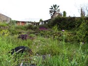 Terreno Urbano - Alcanena, Alcanena, Santar�m - Miniatura: 4/4