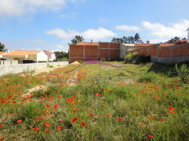 Terreno Urbano - Carregueira, Chamusca, Santar�m - Imagem grande