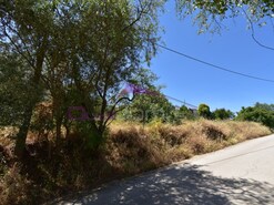 Terreno R�stico - Pedr�g�o, Torres Novas, Santar�m