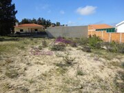 Terreno Urbano - Carregueira, Chamusca, Santar�m - Miniatura: 1/2