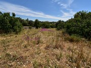 Terreno Rstico - Pedrgo, Torres Novas, Santarm - Miniatura: 2/2