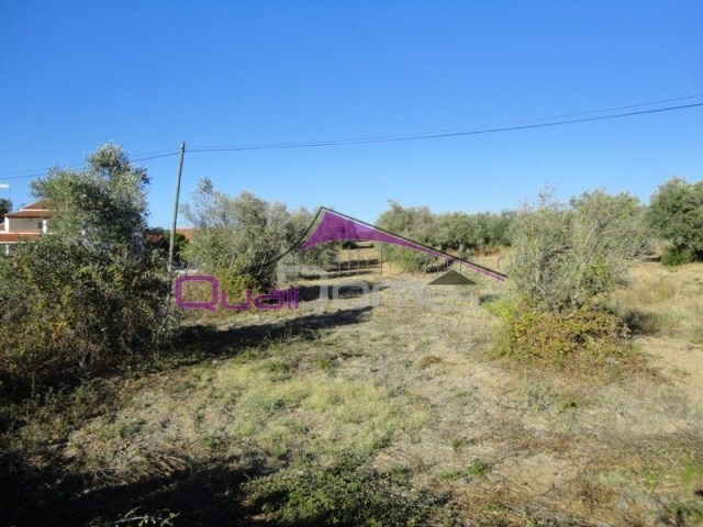 Terreno Urbano - Riachos, Torres Novas, Santar�m - Imagem grande