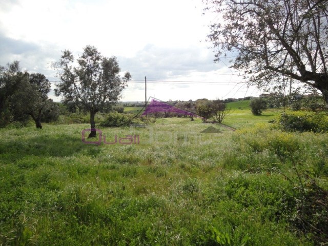 Terreno R�stico - Brogueira, Torres Novas, Santar�m - Imagem grande