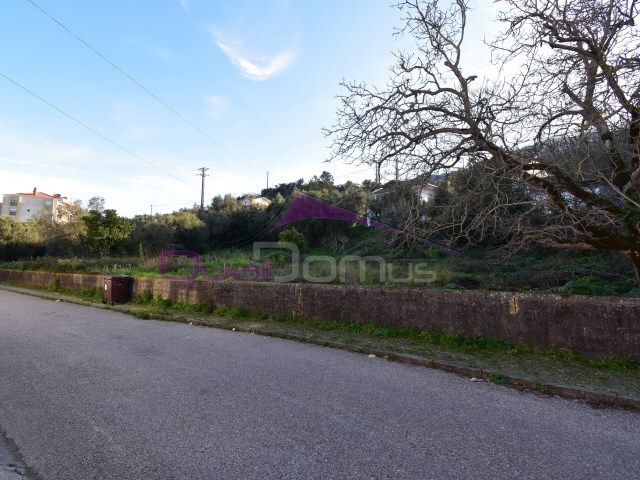 Terreno Urbano - Minde, Alcanena, Santarm - Imagem grande