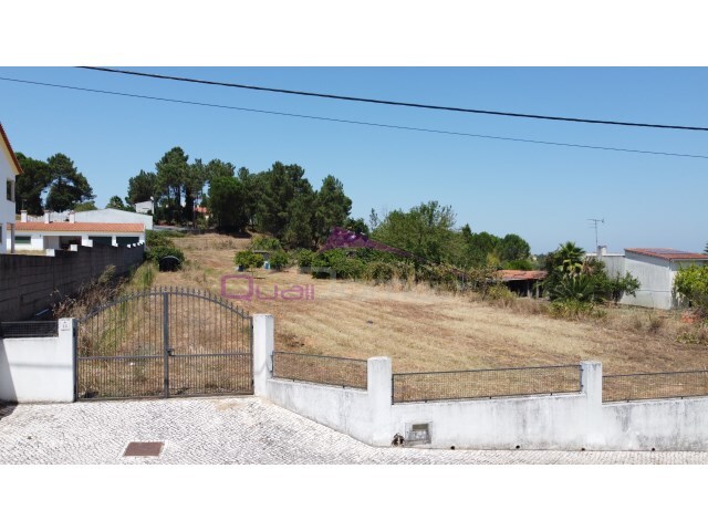 Outros - Nossa Senhora de F�tima, Entroncamento, Santar�m - Imagem grande