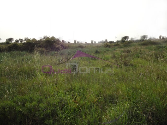 Terreno Urbano - Montalvo, Const�ncia, Santar�m - Imagem grande