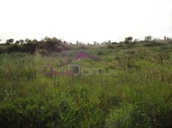 Terreno Urbano - Montalvo, Const�ncia, Santar�m