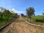 Terreno R�stico - Brogueira, Torres Novas, Santar�m - Miniatura: 2/9