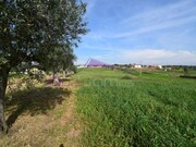 Terreno R�stico - Brogueira, Torres Novas, Santar�m - Miniatura: 4/9