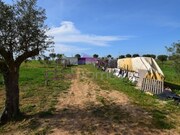 Terreno R�stico - Brogueira, Torres Novas, Santar�m - Miniatura: 8/9