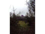 Terreno Rstico - Olaia, Torres Novas, Santarm - Miniatura: 1/2