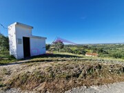 Terreno Rstico - Olaia, Torres Novas, Santarm - Miniatura: 1/2