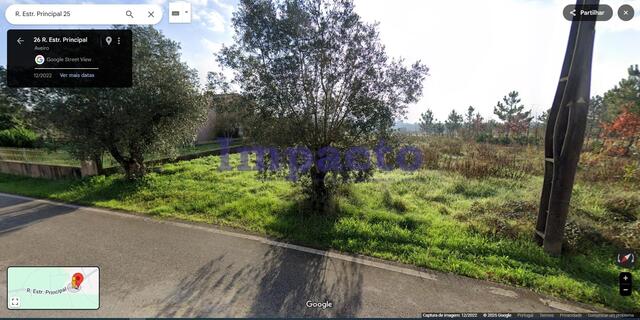 Terreno Urbano T0 - São Lourenço do Bairro, Anadia, Aveiro - Imagem grande