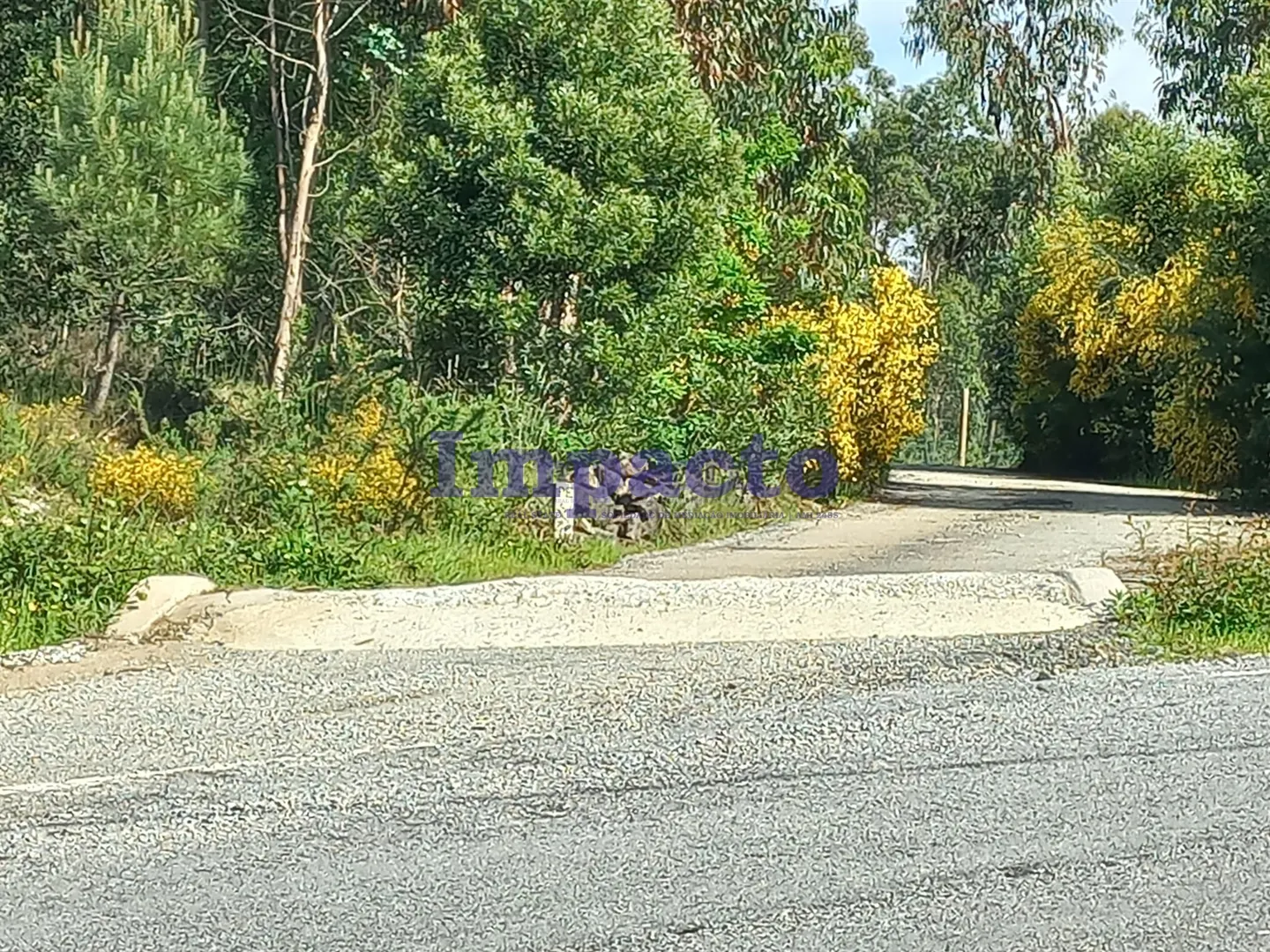 Terreno Rústico T0 - Escariz, Arouca, Aveiro - Imagem grande