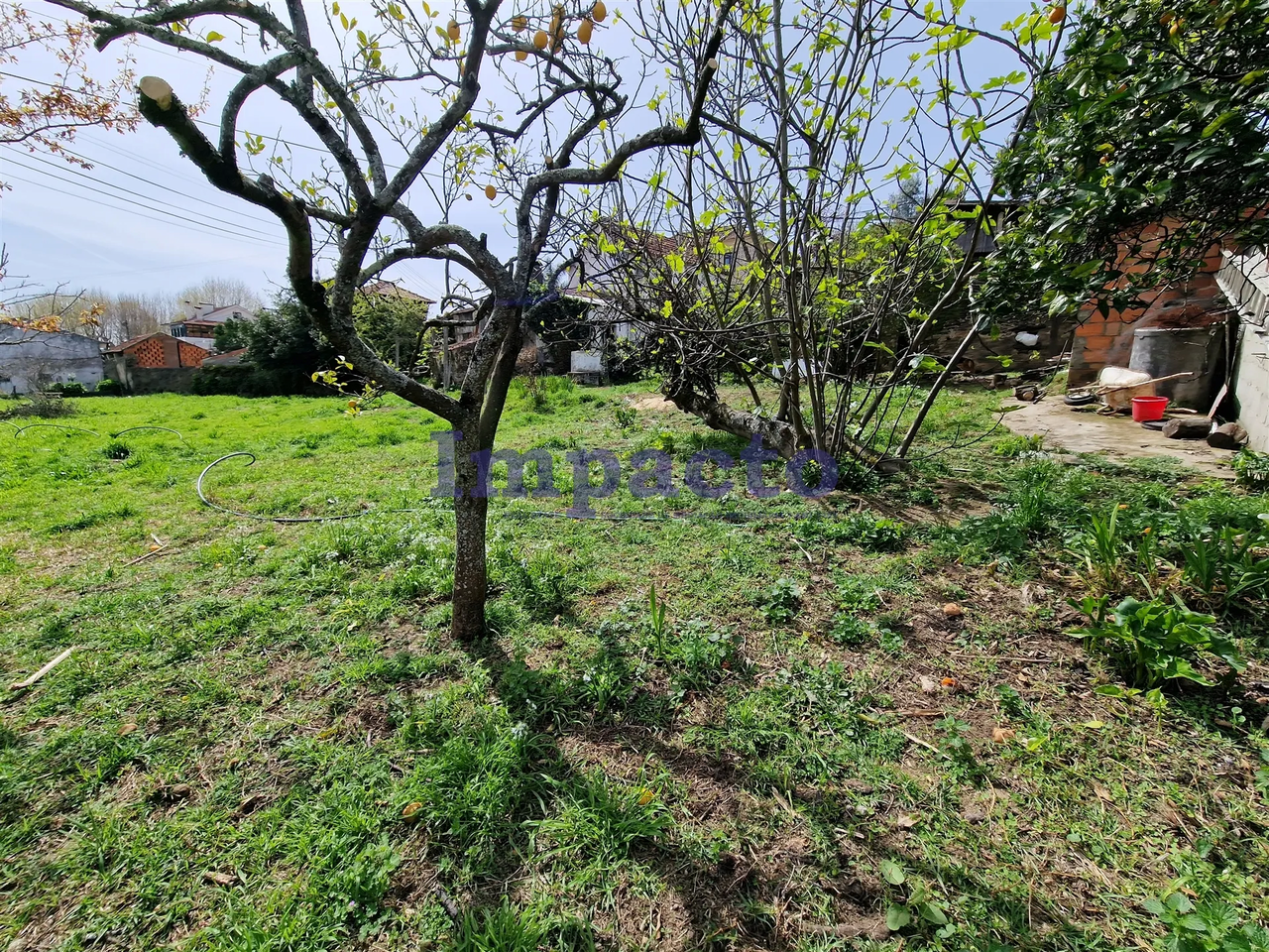 Terreno R�stico - Fornos, Santa Maria da Feira, Aveiro - Imagem grande