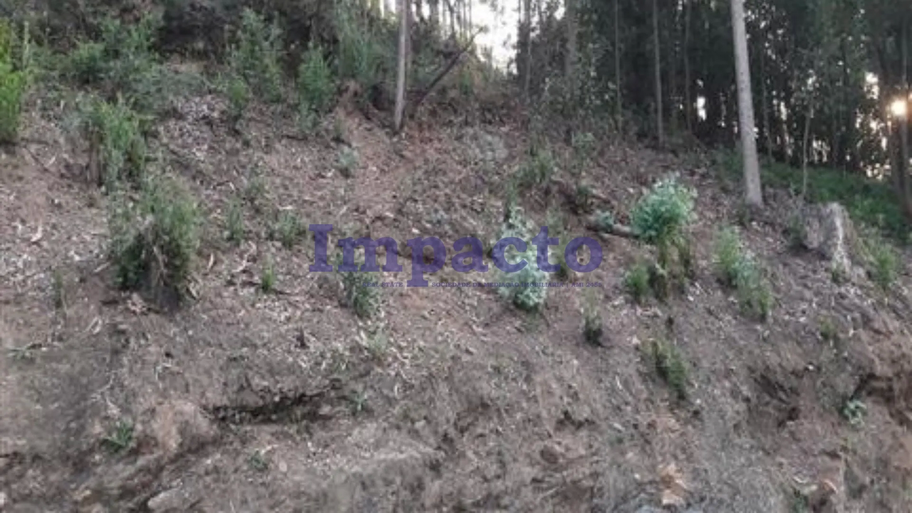 Terreno R�stico - Vila de Cucuj�es, Oliveira de Azem�is, Aveiro - Imagem grande