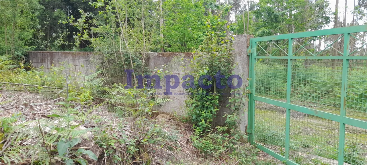 Terreno R�stico - Milheir�s de Poiares, Santa Maria da Feira, Aveiro