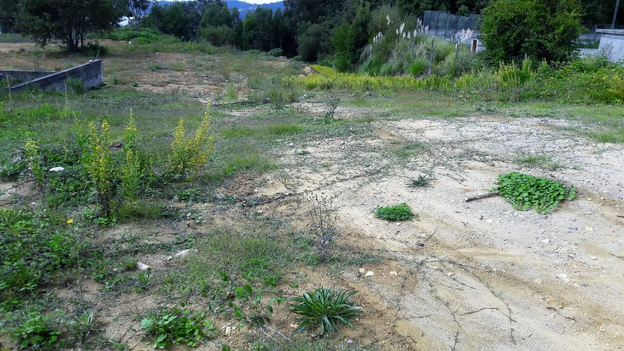 Terreno Rstico - Oliveira de Azemeis, Oliveira de Azemis, Aveiro