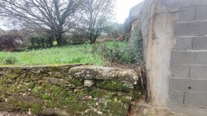 Terreno R�stico - S�o Jo�o da Madeira, S�o Jo�o da Madeira, Aveiro