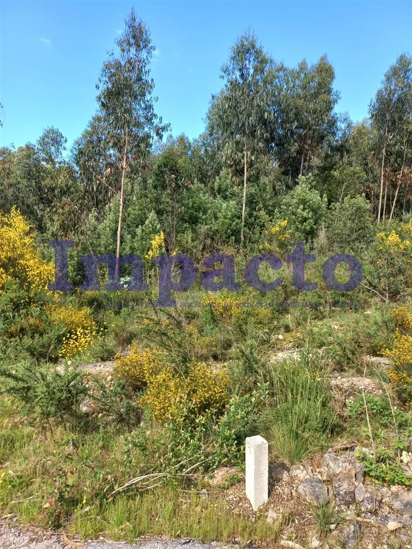 Terreno Rstico T0 - Escariz, Arouca, Aveiro - Miniatura: 4/9