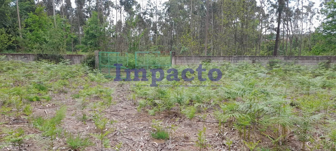 Terreno R�stico - Milheir�s de Poiares, Santa Maria da Feira, Aveiro - Miniatura: 6/9