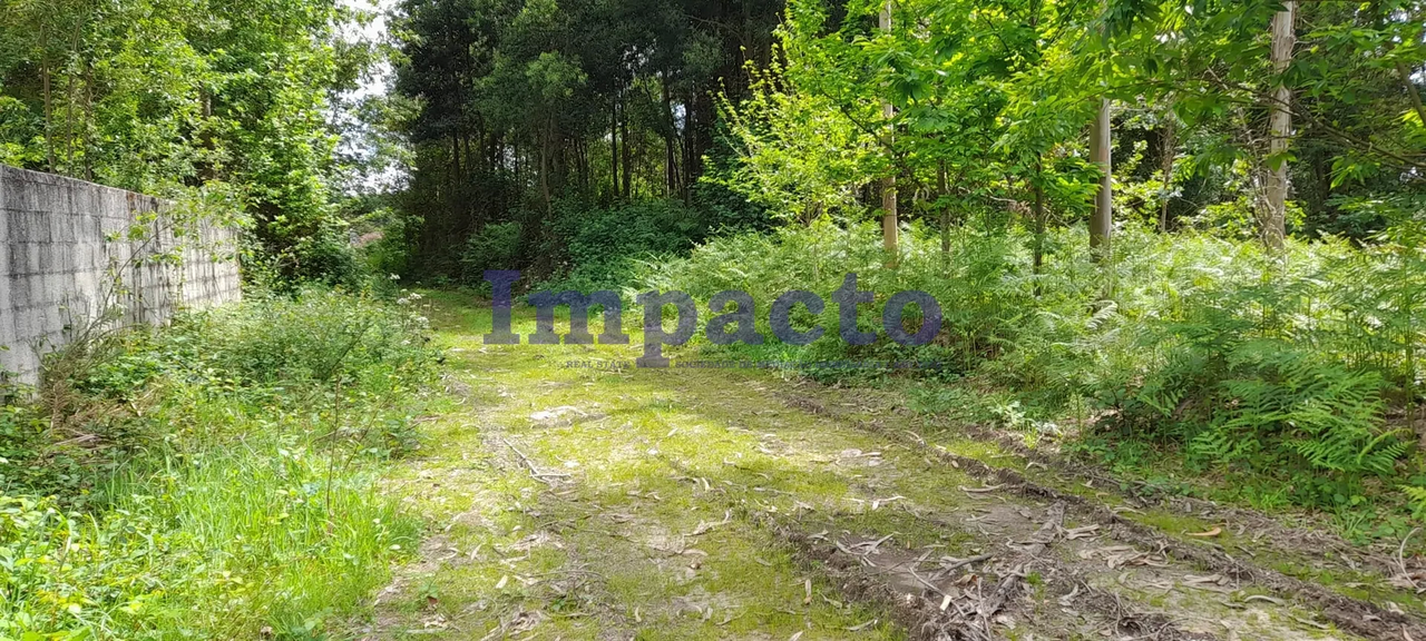 Terreno R�stico - Milheir�s de Poiares, Santa Maria da Feira, Aveiro - Miniatura: 8/9