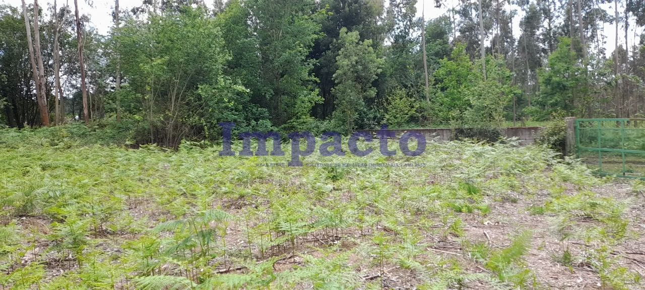 Terreno R�stico - Milheir�s de Poiares, Santa Maria da Feira, Aveiro - Miniatura: 9/9
