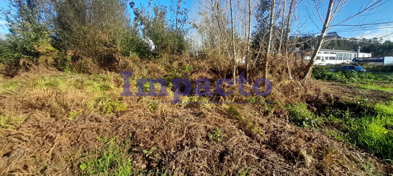 Terreno R�stico - Lob�o, Santa Maria da Feira, Aveiro - Miniatura: 3/9