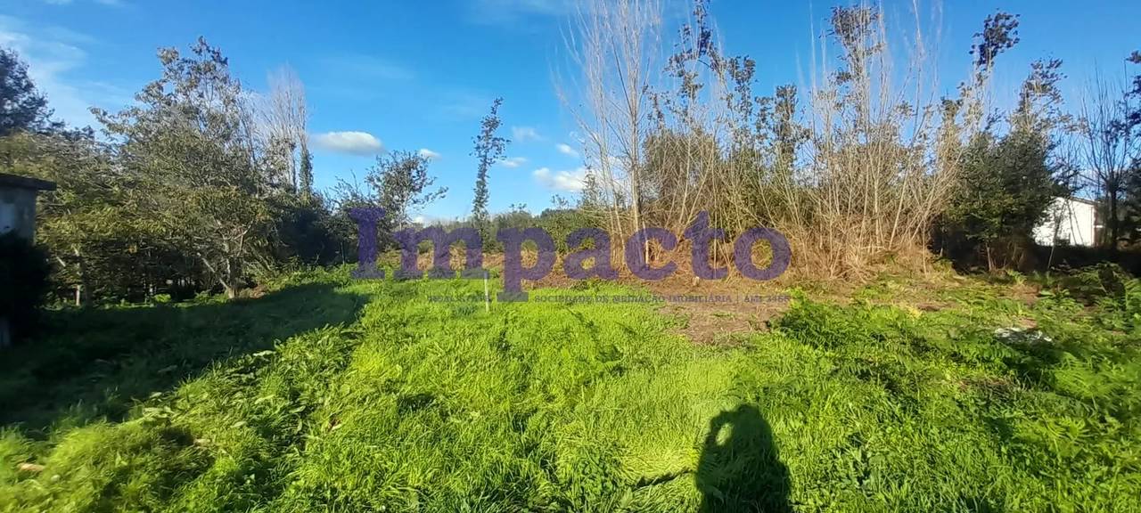 Terreno R�stico - Lob�o, Santa Maria da Feira, Aveiro - Miniatura: 6/9
