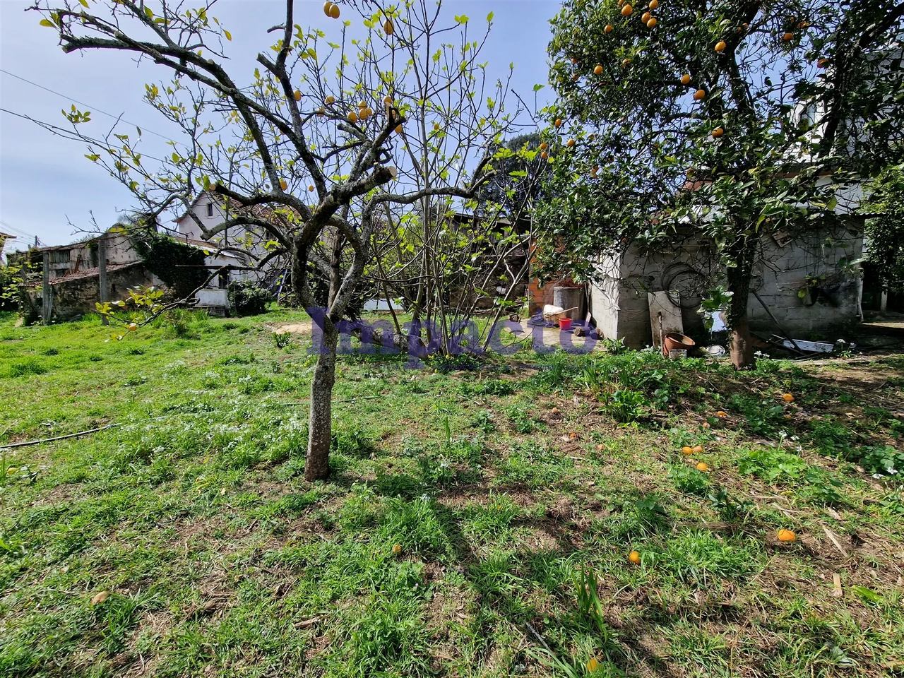 Terreno R�stico - Fornos, Santa Maria da Feira, Aveiro - Miniatura: 3/3
