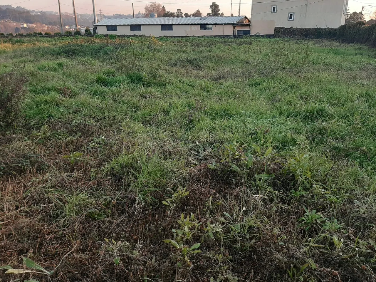 Terreno R�stico - Vila de Cucuj�es, Oliveira de Azem�is, Aveiro - Miniatura: 5/5