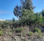 Terreno R�stico - Albergaria-a-Velha, Albergaria-a-Velha, Aveiro - Miniatura: 1/4