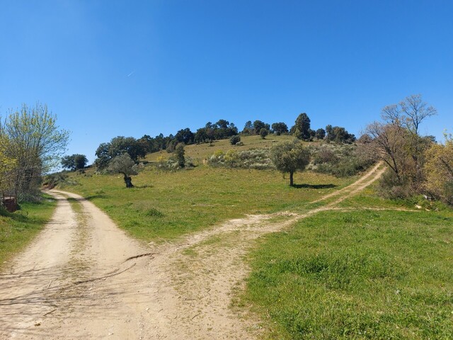Terreno Rústico - Castro Vicente, Mogadouro, Bragança - Imagem grande