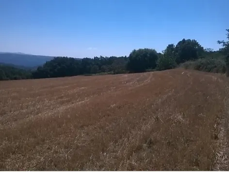 Terreno Rstico - Vilar de Ossos, Vinhais, Bragana