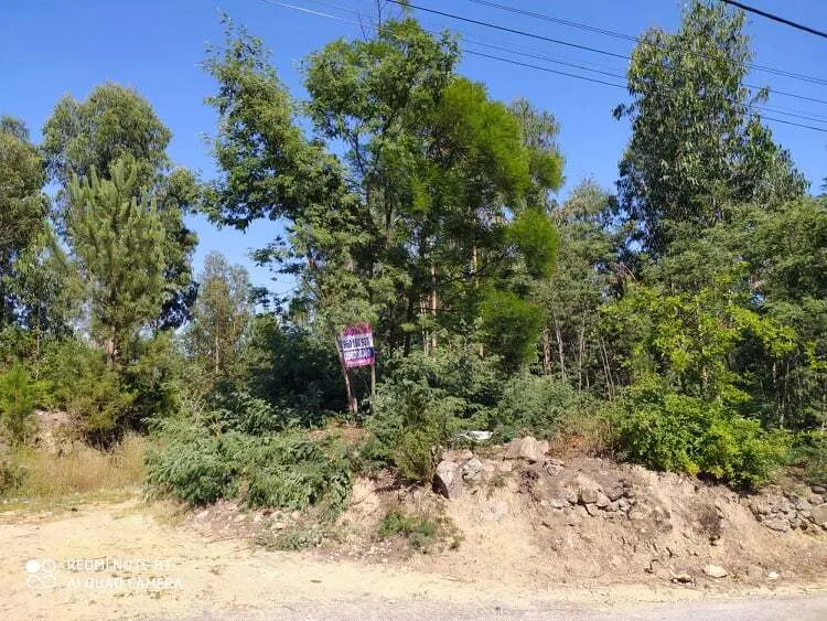 Terreno R�stico - Carregosa, Oliveira de Azem�is, Aveiro