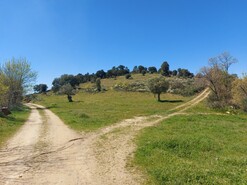 Terreno Rstico - Castro Vicente, Mogadouro, Bragana