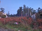 Terreno Rstico T0 - Escariz, Arouca, Aveiro - Miniatura: 7/8