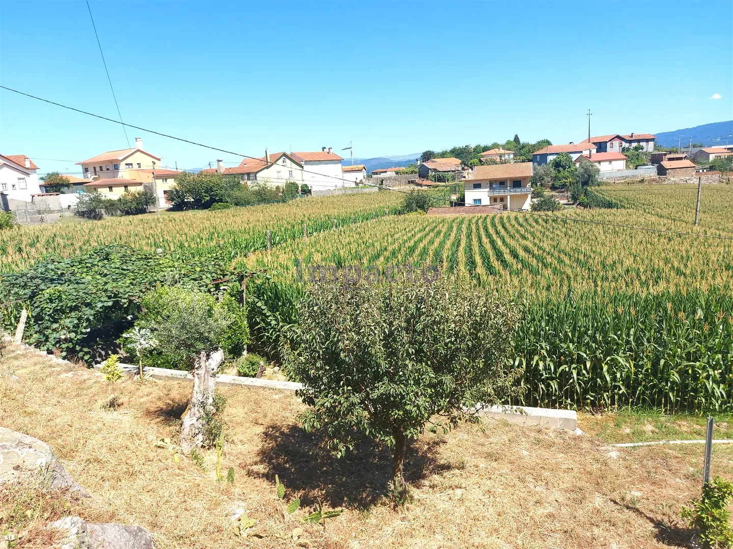 Terreno Rstico T0 - Mansores, Arouca, Aveiro - Miniatura: 3/9